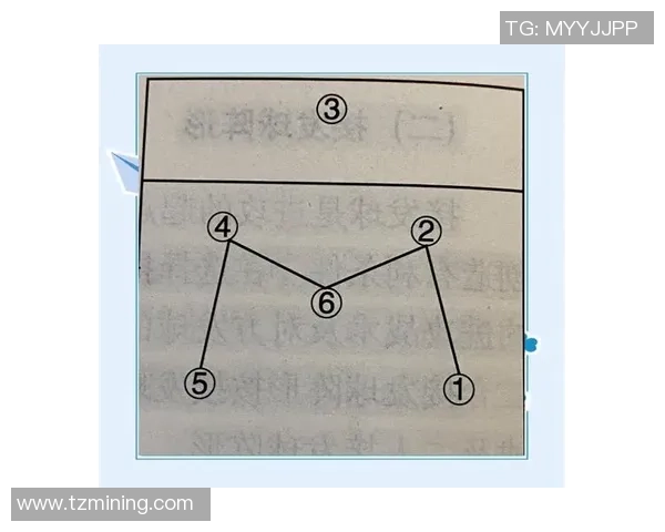 深入分析重庆排球队独特的进攻战术与策略发展 深入分析重庆排球队独特的进攻战术与策略发展