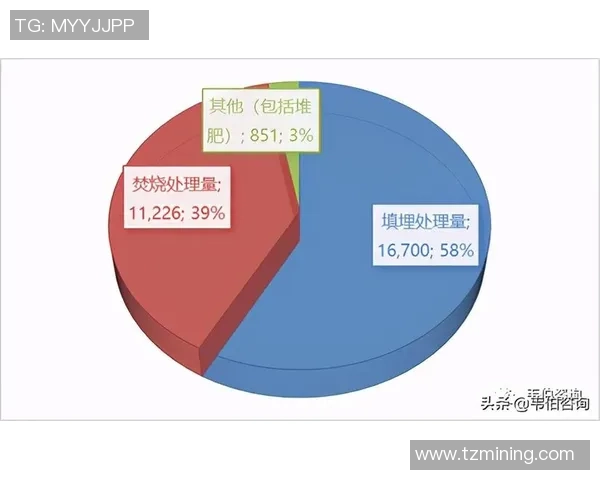重庆篮球队的控制策略与发展前景深度解析 重庆篮球队的控制策略与发展前景深度解析